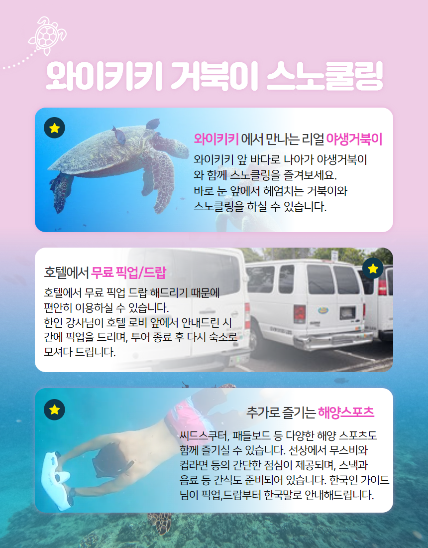 오아후 와이키키 앞바다 거북이 스노클링