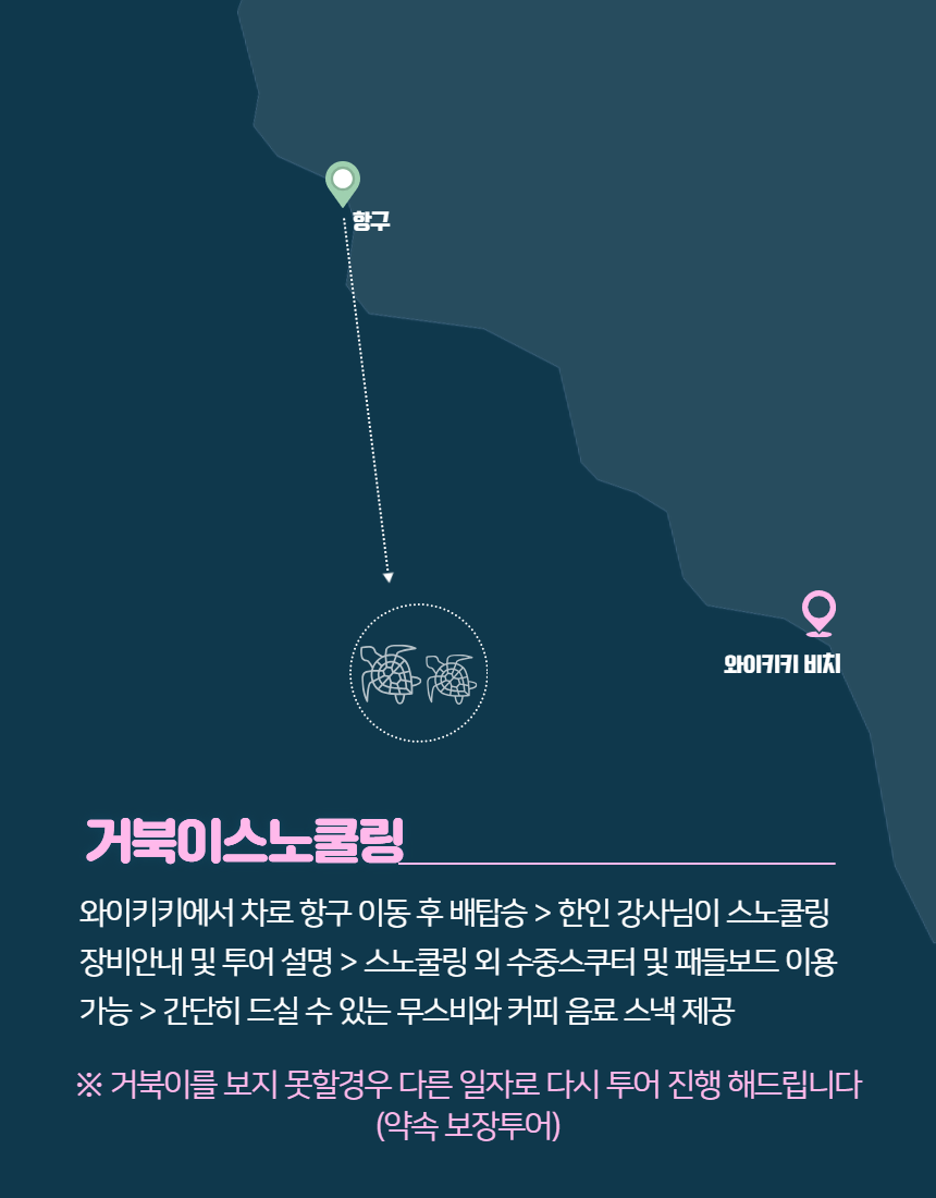 오아후 와이키키 앞바다 거북이 스노클링